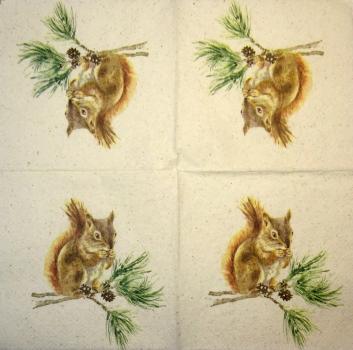 020 Eichhörnchen - 3-lagig - Ambiente